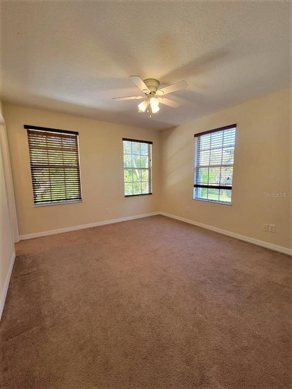 8712 Sleepy Oak Pl 8712 Sleepy Oak Pl Tampa FL 33614 Apartment Finder