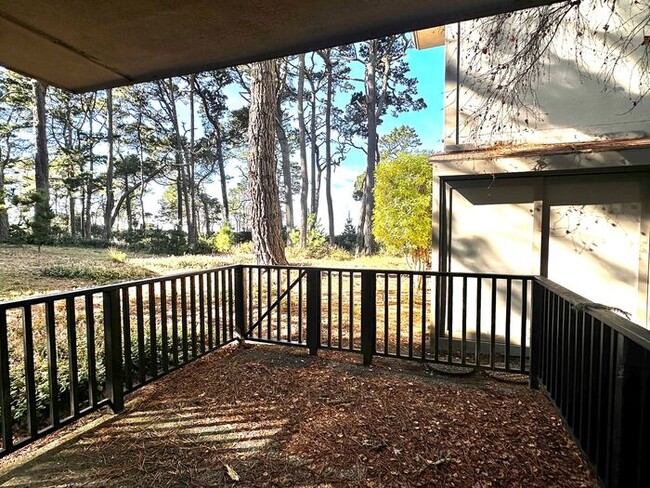 Building Photo - Forest Views With Peeks Of The Ocean From ...