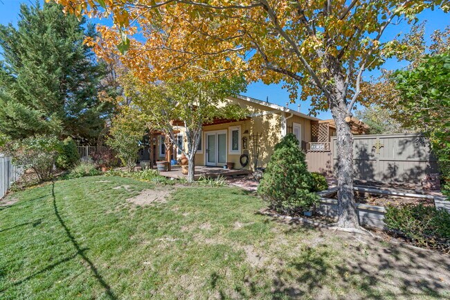 Backyard - 2100 Brittany Meadows Dr