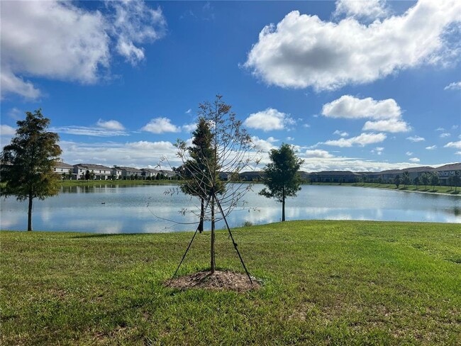 Building Photo - 131 Mangrove Shade Cir