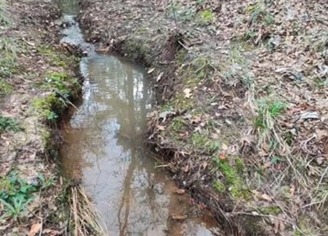 Building Photo - 180 Ripple Creek Dr