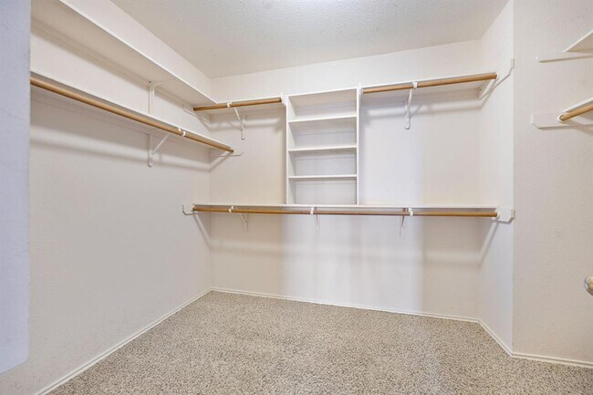 Building Photo - 14908 Staked Plains Loop