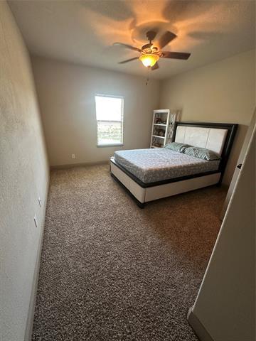 Building Photo - 3809 Brookridge Ct