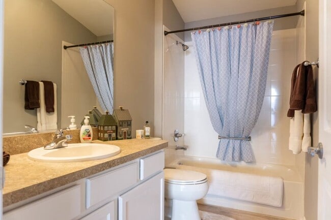 Building Photo - M2453 Violet (VCSC-15/10)