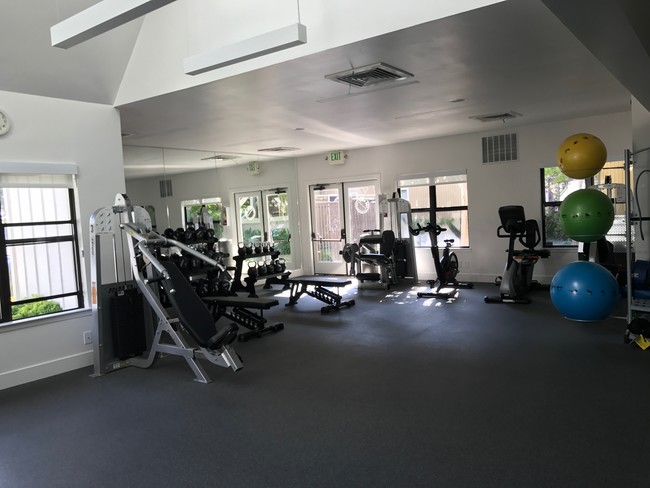 Community Gym - 77 Schooner Ct