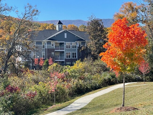 Building Photo - Palisades at Plott Creek