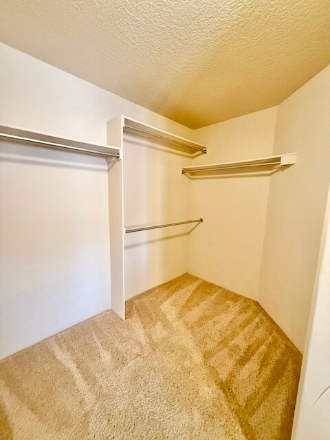 Building Photo - 8724 Cuevita Ct NE