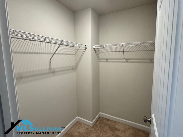 Building Photo - 109 White Burley Ct