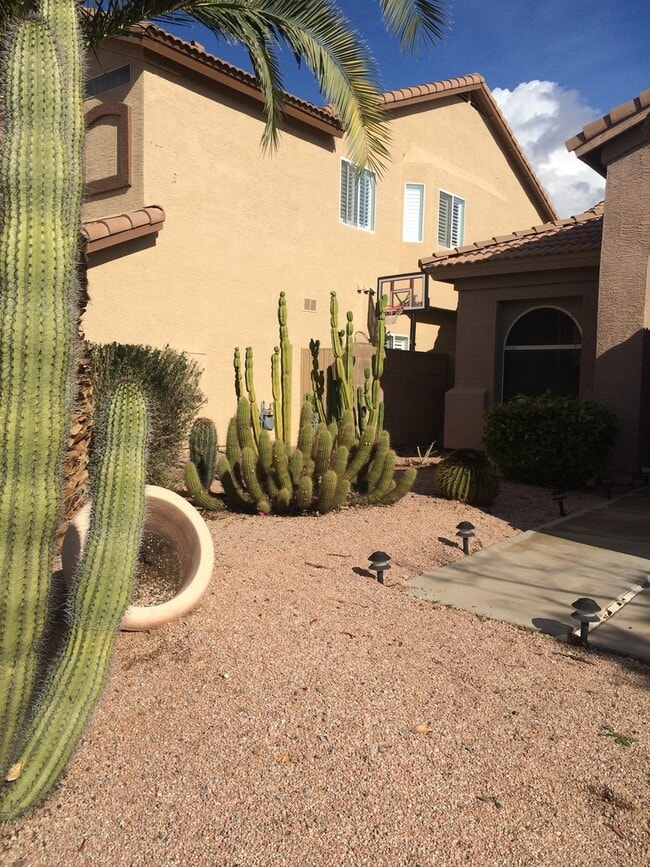 Building Photo - Beautiful 3 bedroom 2 bath North Phoenix h...
