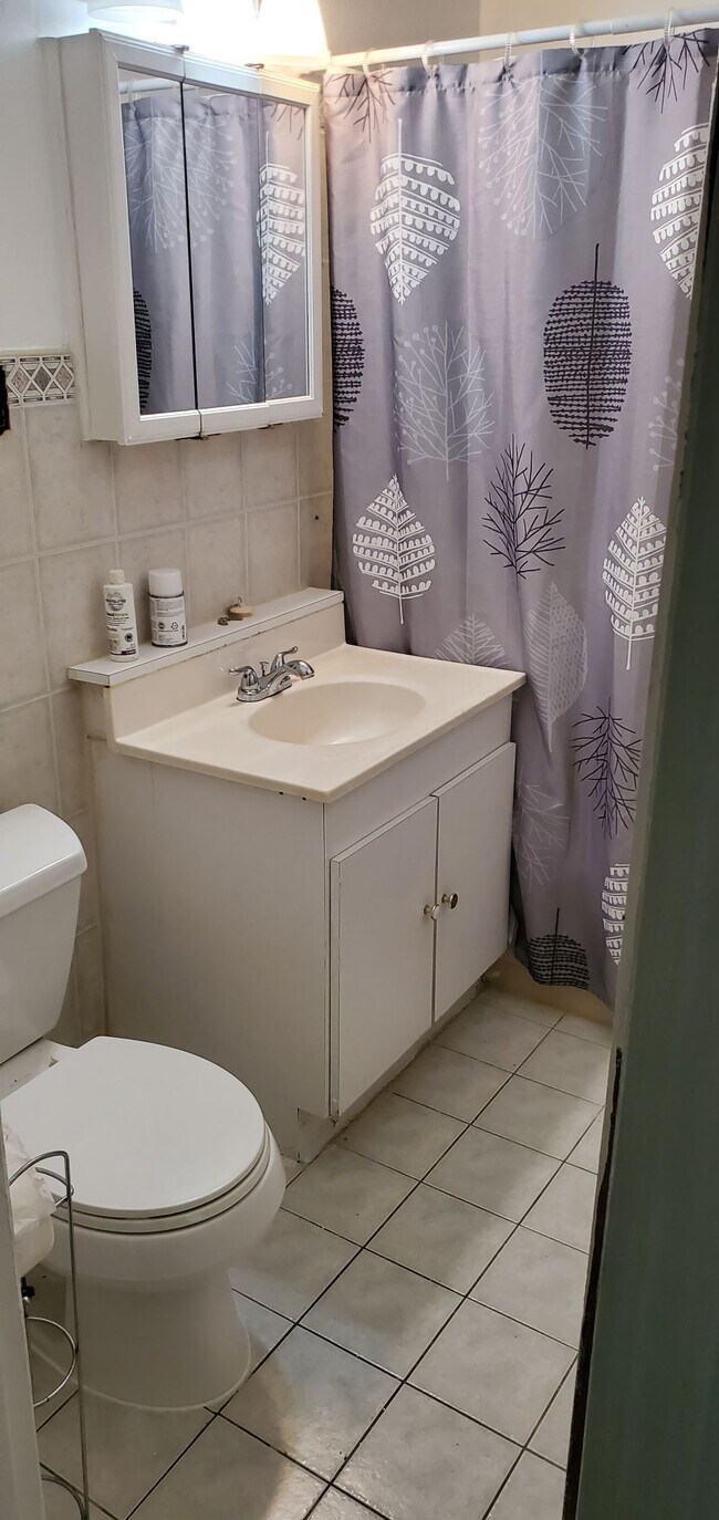 Building Photo - 377 College Dr