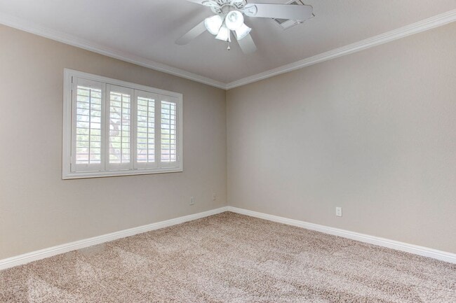 Building Photo - 809 Royal Birch Ln