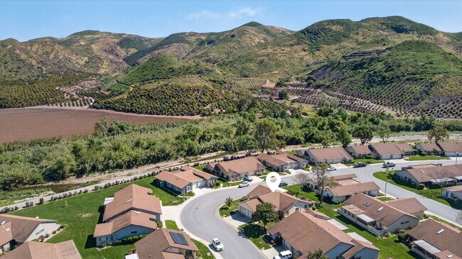 Building Photo - 42063 Village 42