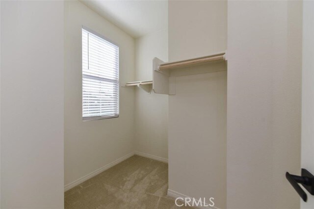 Building Photo - 117 Halo