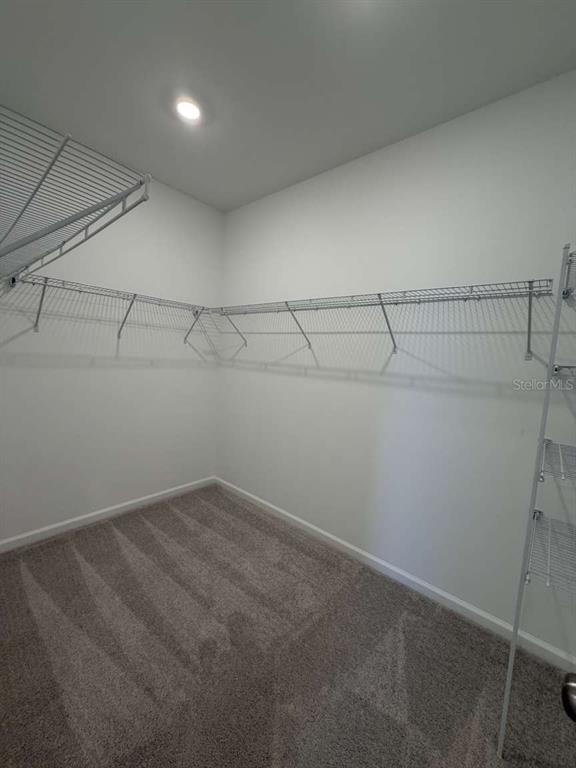 Building Photo - 5134 Arrowfeather Ct