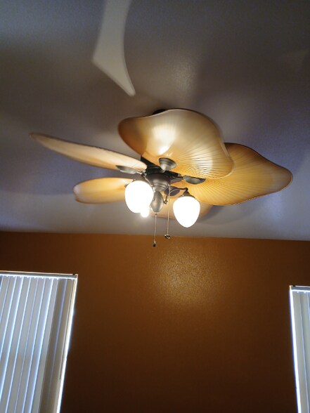 Building Photo - 4216 Fino Cir