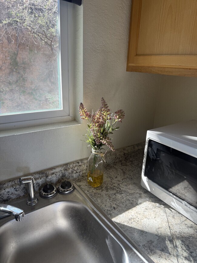 Building Photo - 797 W Mesa Verde Dr