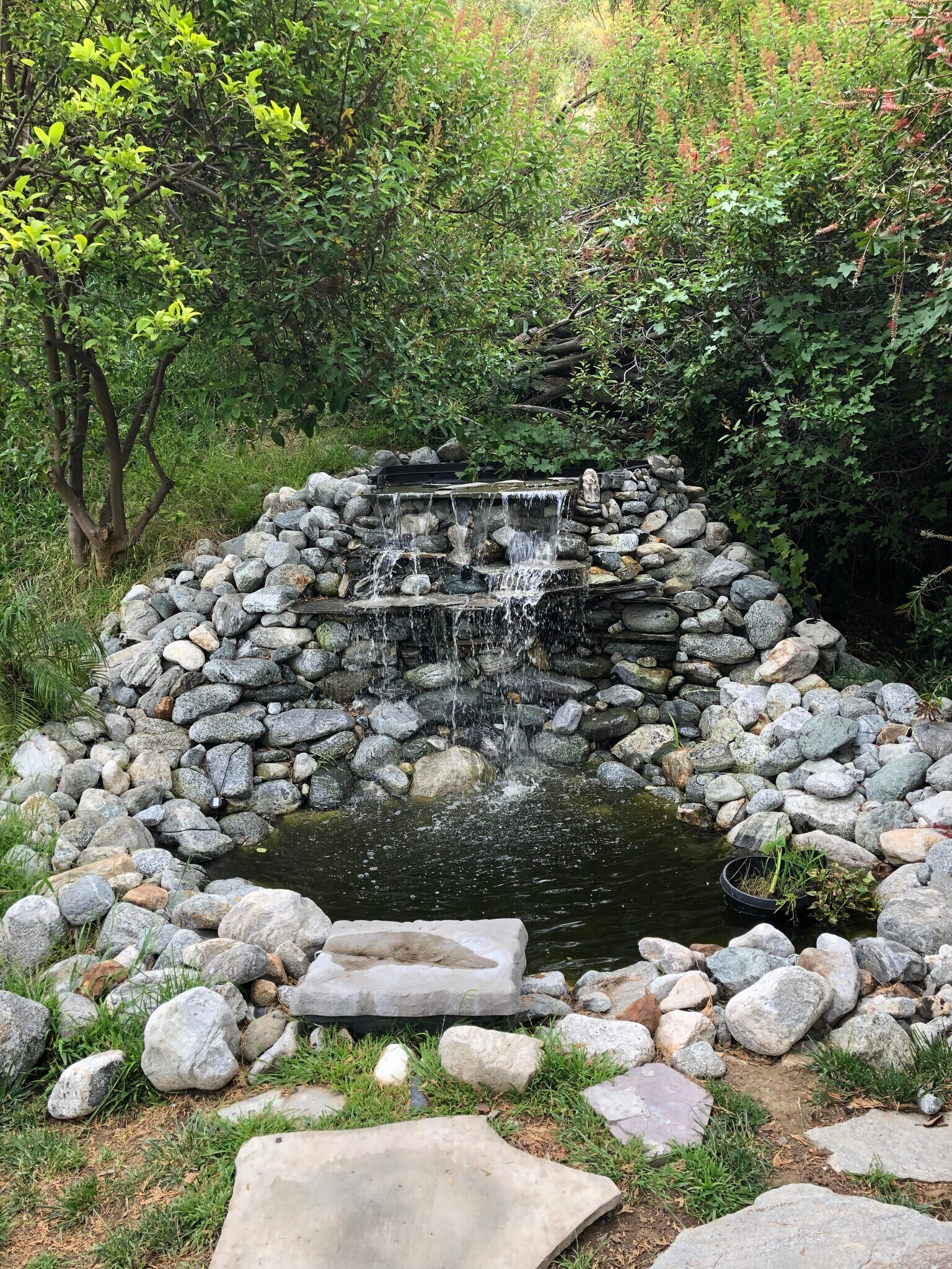 Building Photo - 1986 Sherer Ln