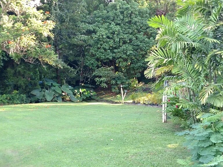 Park-like back yard - 1115 Uluopihi Loop