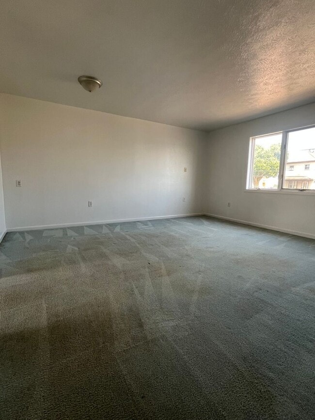 Building Photo - One Bedroom Apartment w Utilities Included