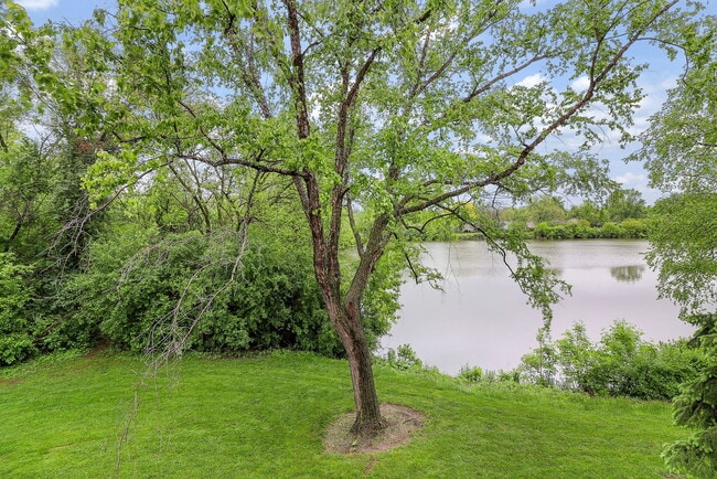 Building Photo - 1782 Gloucester Ct