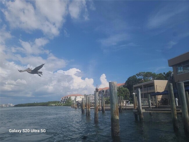 Building Photo - 360 Gulf of Mexico Dr