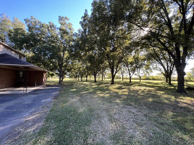 Building Photo - 1803 Thomas Ln