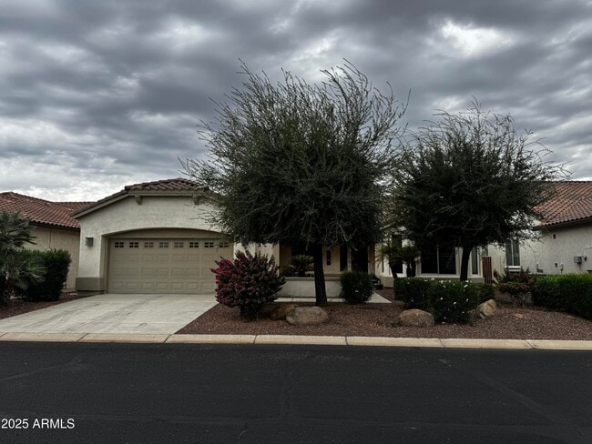 Building Photo - 2572 N 165th Dr