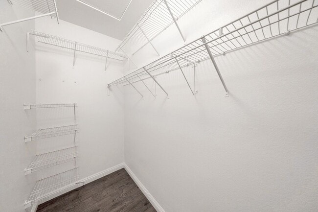 Building Photo - 6287 Ancora Ln
