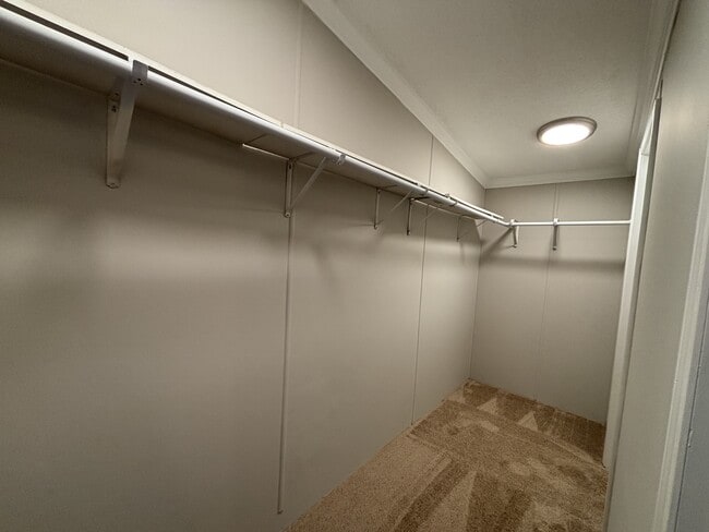 Building Photo - 1100 Big Sandy Creek Ln