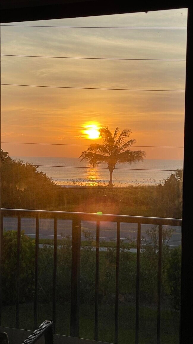 Building Photo - 5159 N Hwy A1A