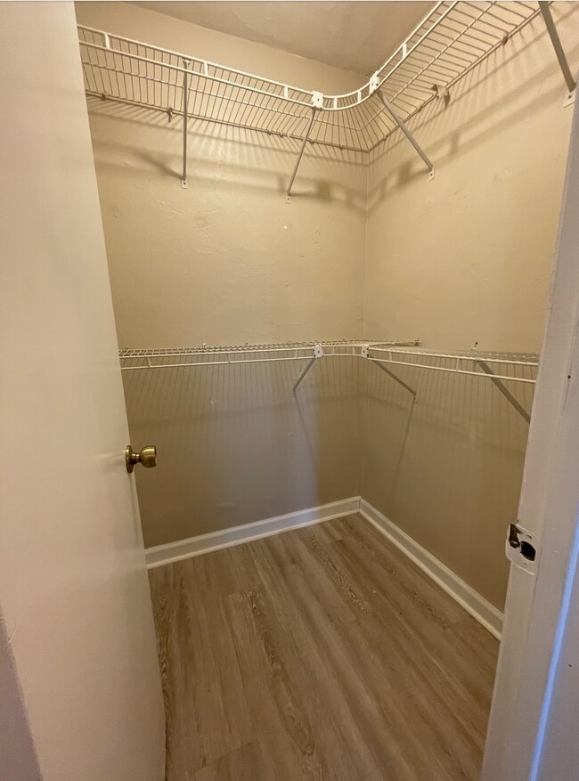 walk-in closets - 1104 Greentree Ct