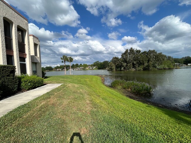 Building Photo - Available Mid April - Lovely 2/2 in in Alt...