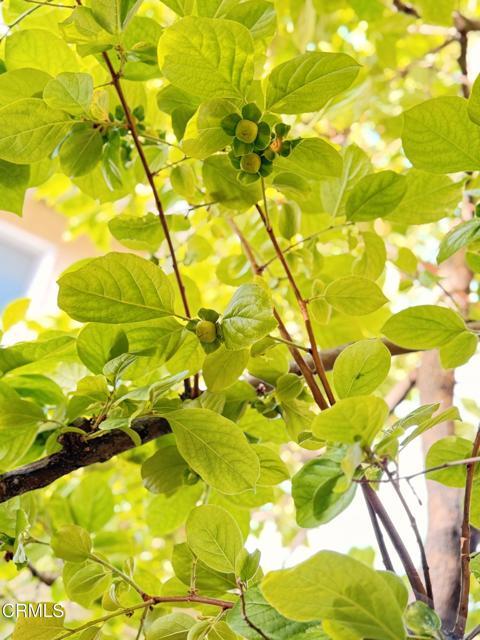 Building Photo - 96 N Craig Ave