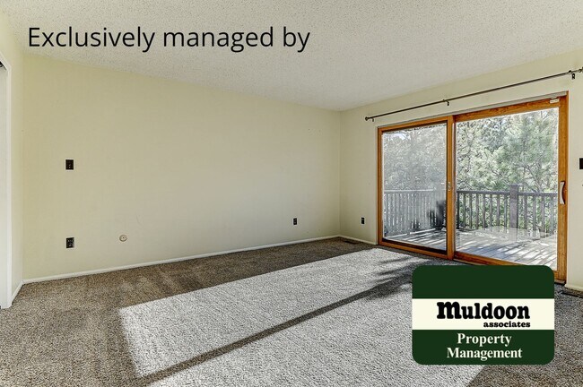 Building Photo - Coming soon, Stunning Black Forest Home!