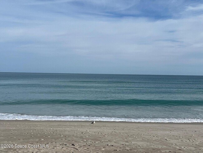 Building Photo - 160 Sandy Shoes Dr