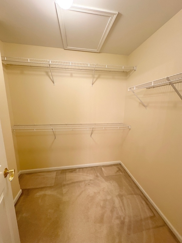 Building Photo - 2955 Talaga Dr