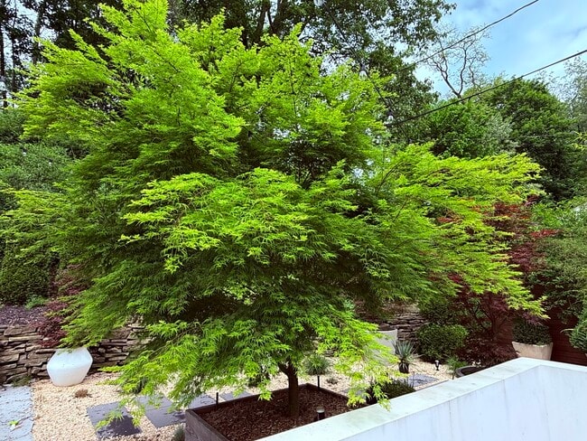 Building Photo - 204 Datura Dr