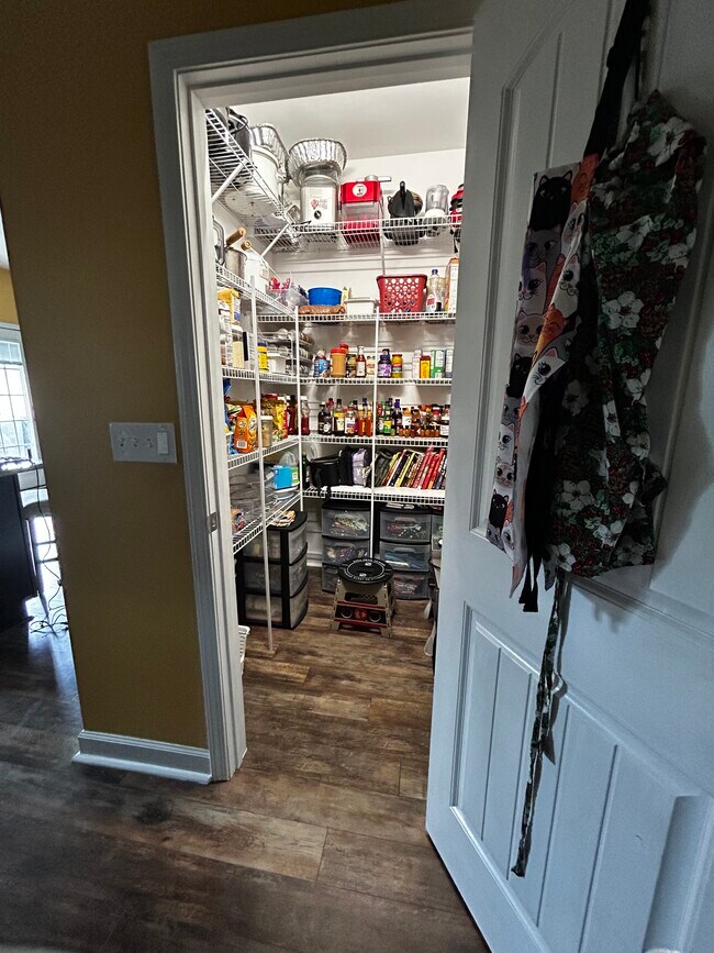 Building Photo - 2924 Seavista Ct