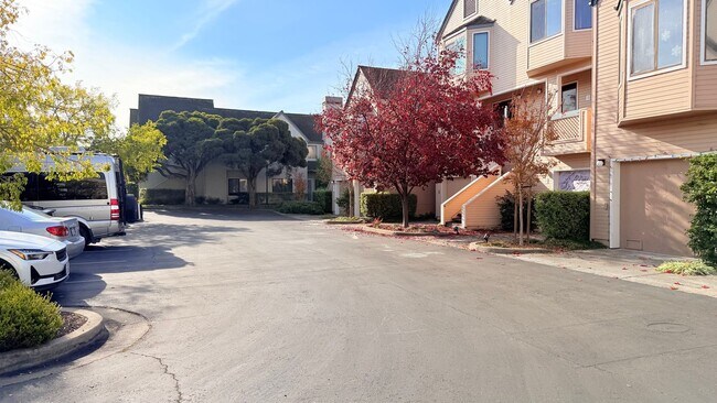 Building Photo - 31 Redondo Ct