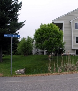 Building Photo - 28 Pine Brook Dr