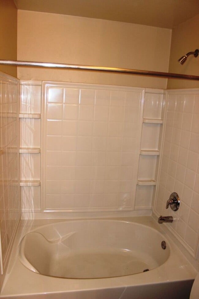 Building Photo - Sun-Drenched 3BR Tucson Residence with Expansive Backyard & Covered Patio