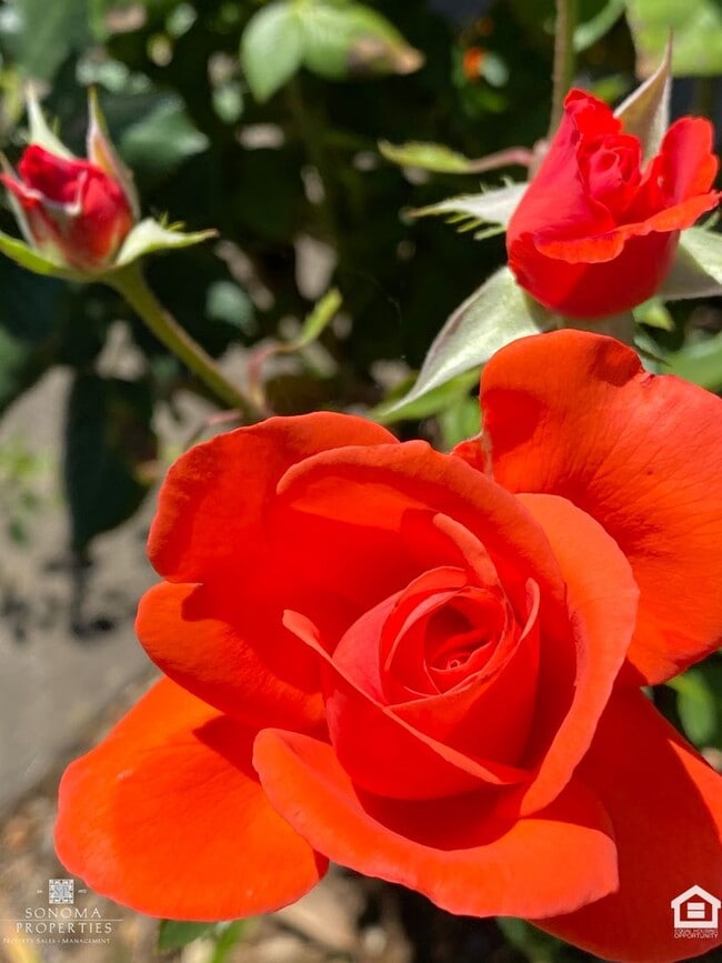 Building Photo - Townhouse in Desirable Location, Near Shopping, Bike Trails, Water & Garbage Included