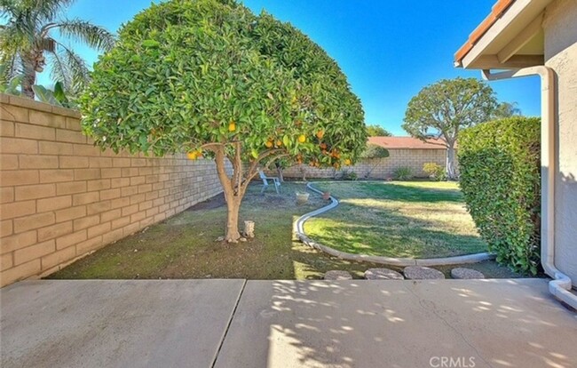 Building Photo - A rare lease opportunity in the sought-aft...