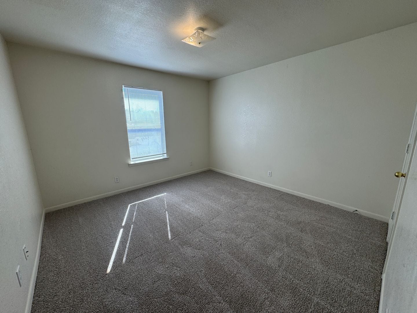 Building Photo - 1003 Circle M Dr