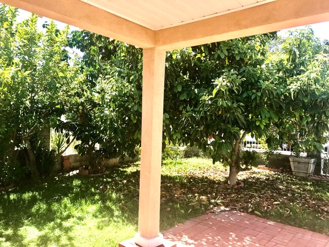 Front Yard - 8160 Jamieson Ave