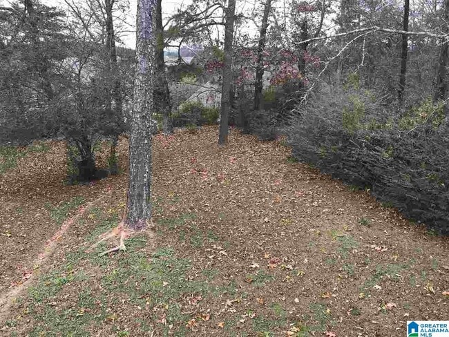 Building Photo - 2548 Janice Cir NE