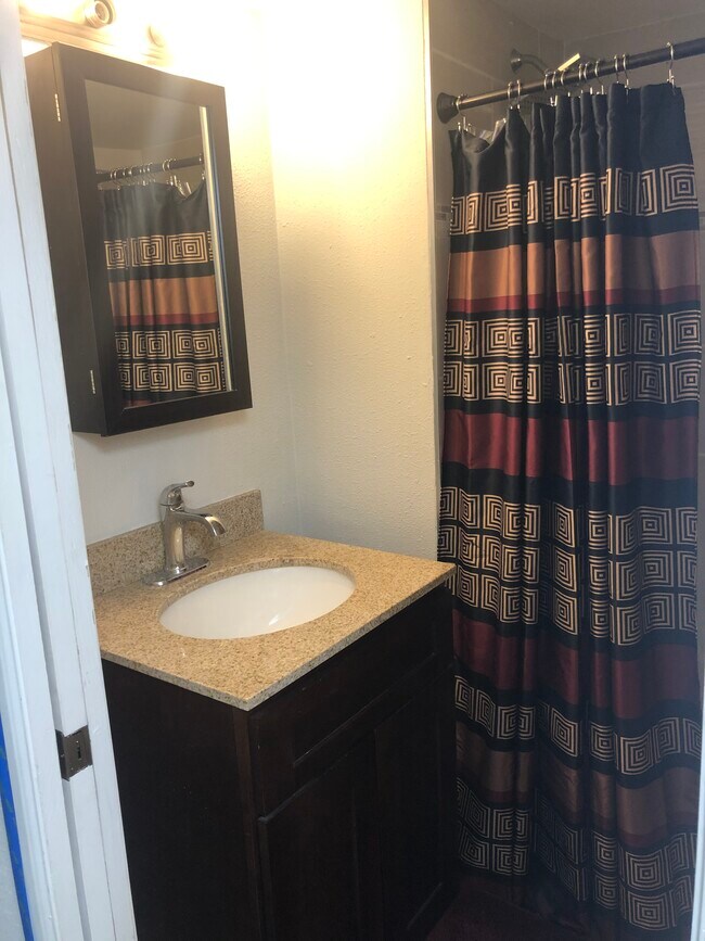 Basement Bathroom View Two - 677 Vrain St