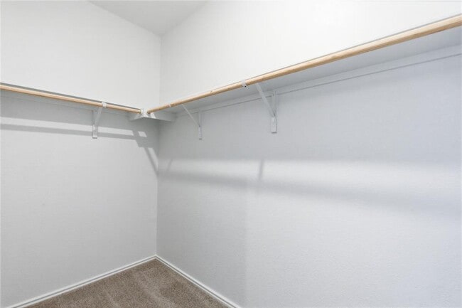 Building Photo - 1404 Roaming Oak Bnd