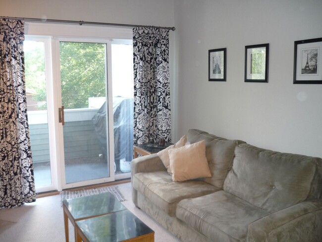 Primary Photo - Sunny Loft Condo with Campus and Mountain ...