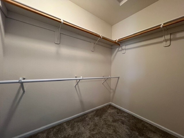 Building Photo - 4717 S Pointe Dr